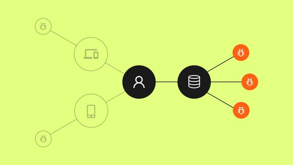 Dynamic asset visualization